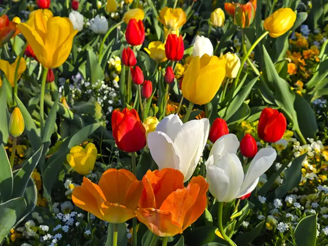 Foto: Heidrun Rosenberger