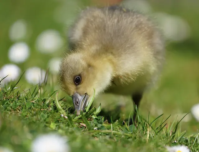 Foto: Moni Bordt