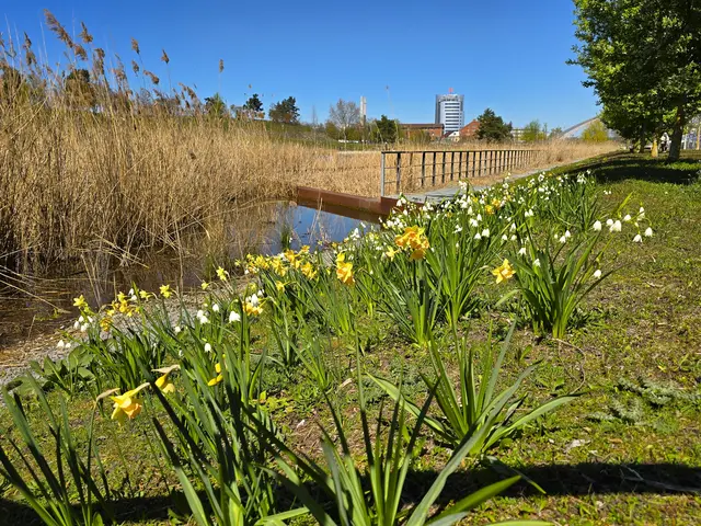 Foto: Heidrun Rosenberger