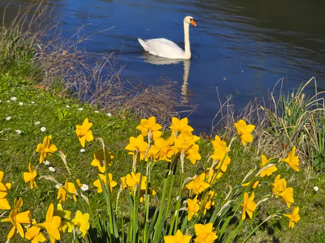 Foto: Heidrun Rosenberger