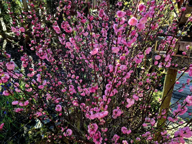 einfach schee😍🌸🌞 | Foto: Ralf Röser