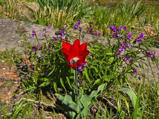 Foto: Heidrun Rosenberger