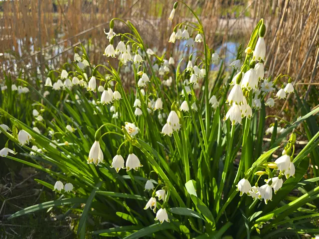 Foto: Heidrun Rosenberger