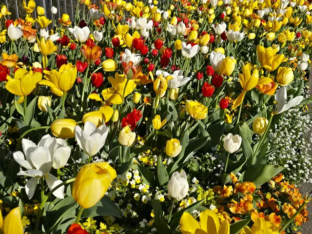 Foto: Heidrun Rosenberger