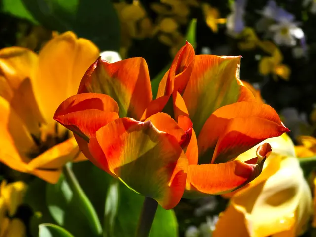 Foto: Heidrun Rosenberger