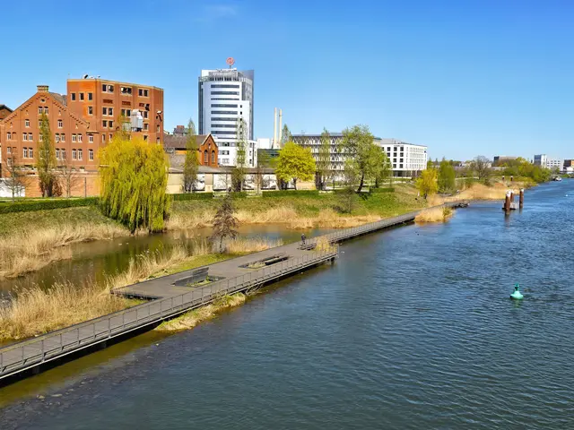 Zukunftspark Wohlgelegen (Hintergrund) Neckarbogen mit Holzsteg (Vordergrund). | Foto: Heidrun Rosenberger