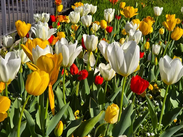 Foto: Heidrun Rosenberger
