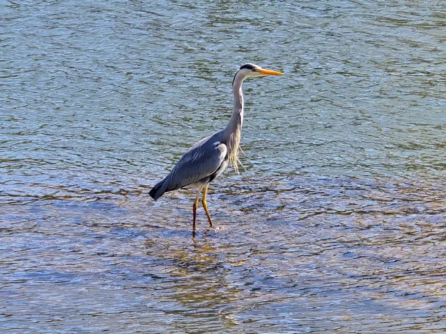 Foto: Heidrun Rosenberger