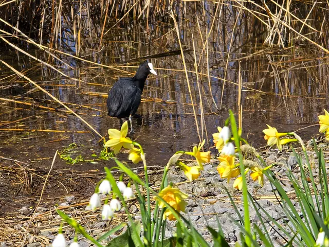 Foto: Heidrun Rosenberger
