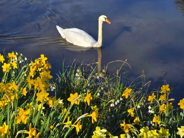 Foto: Heidrun Rosenberger