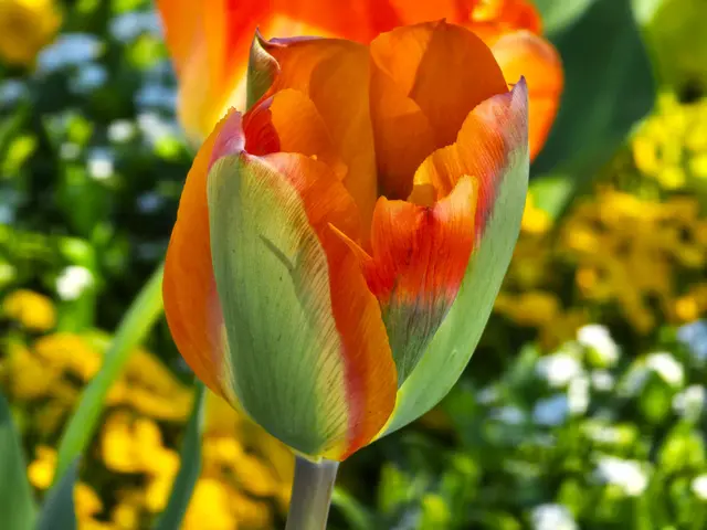 Foto: Heidrun Rosenberger