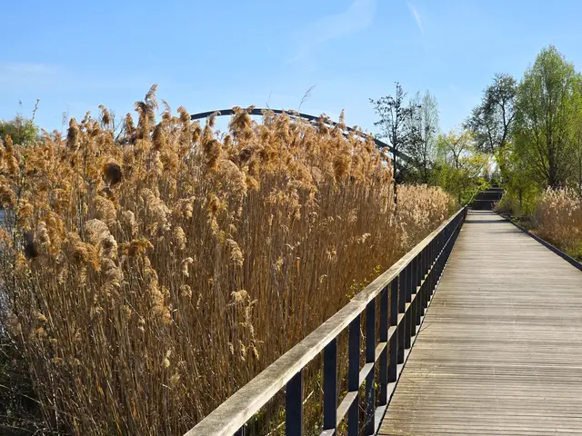 Foto: Heidrun Rosenberger
