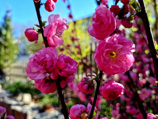 einfach schee😍🌸🌞 | Foto: Ralf Röser