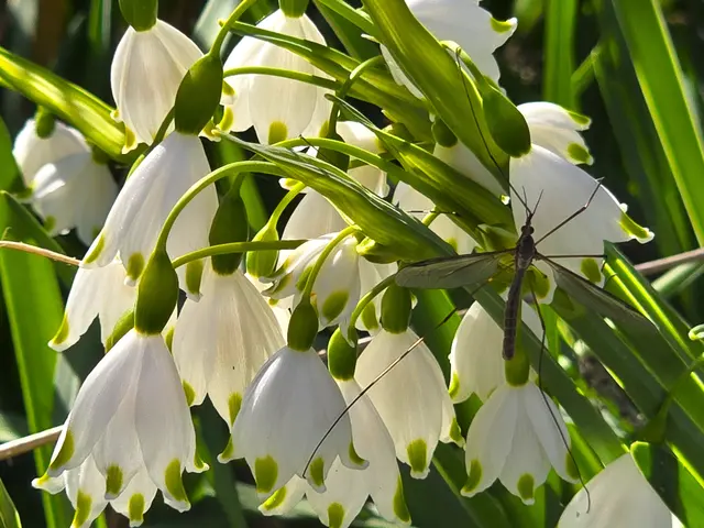 Foto: Heidrun Rosenberger