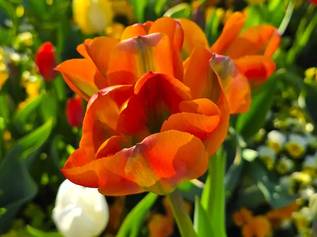 Foto: Heidrun Rosenberger