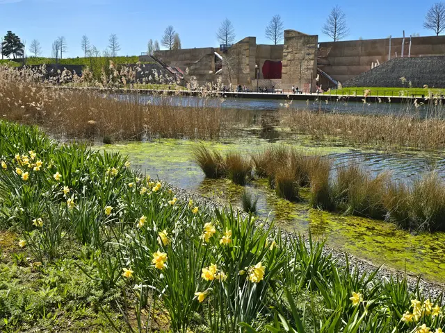 Foto: Heidrun Rosenberger
