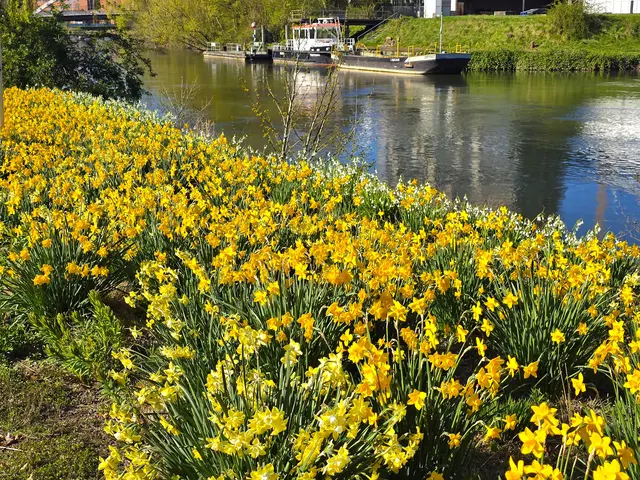 Foto: Heidrun Rosenberger