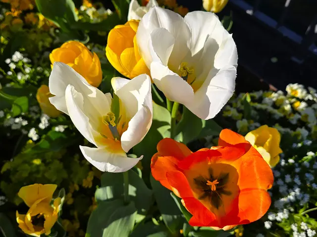 Foto: Heidrun Rosenberger