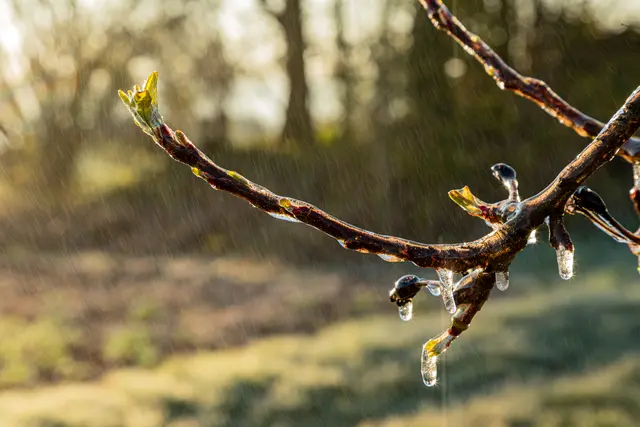 Eisregen 1 | Foto: Egon Groß