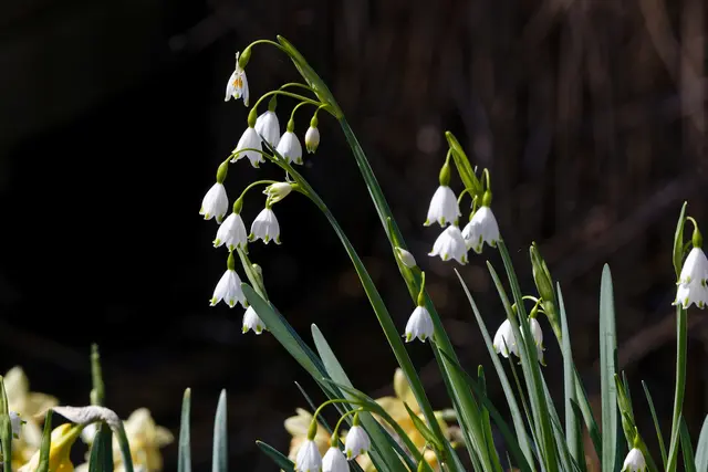 Aprilenbecher? | Foto: WKY