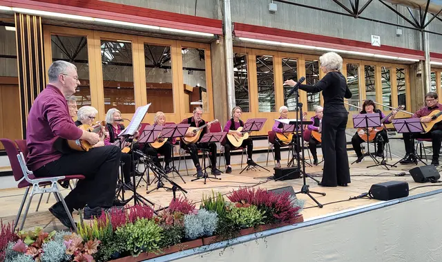 Mandolinen-Orchester
und .. | Foto: Mandolinen-Orchester Neckarsulm