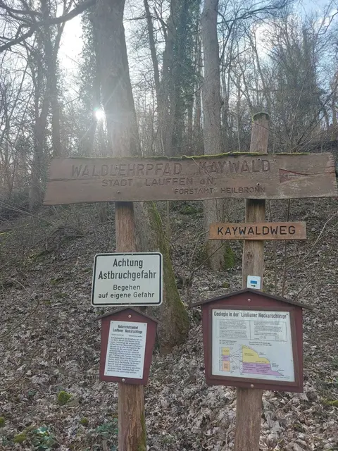 Kaywaldweg | Foto: M. Seebold