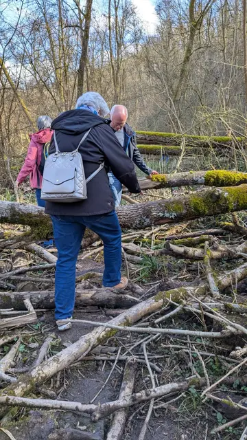 Balanceakt über querliegende Bäume | Foto: M. Seebold