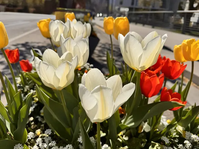 Foto: Heide Böllinger aus Bad Friedrichshall