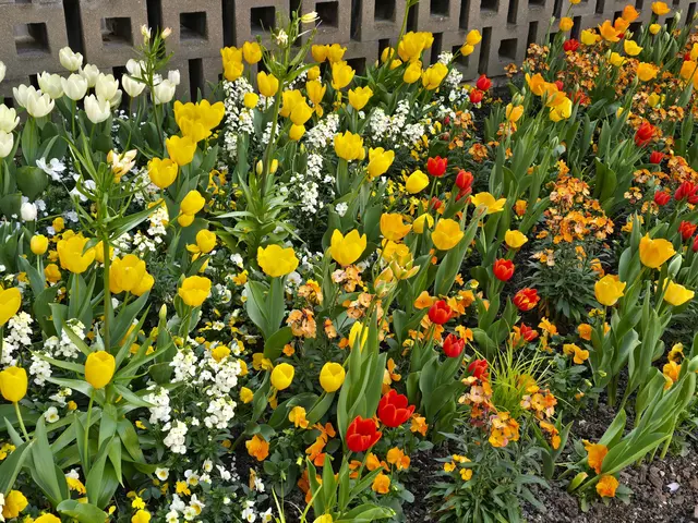 Foto: Heidrun Rosenberger