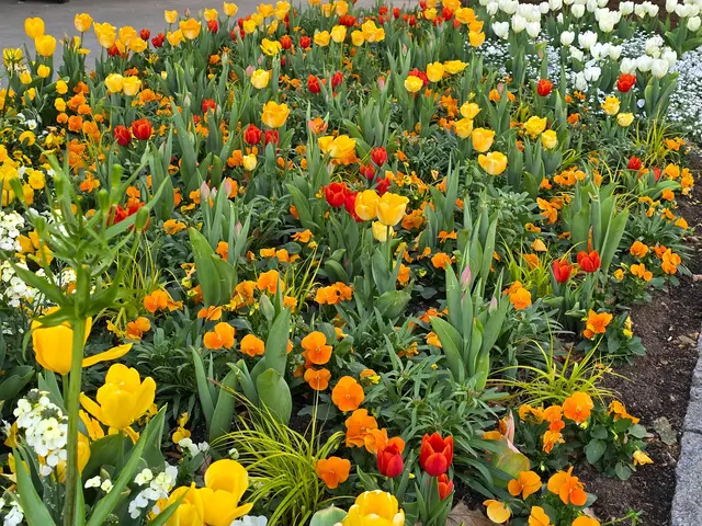 Foto: Heidrun Rosenberger