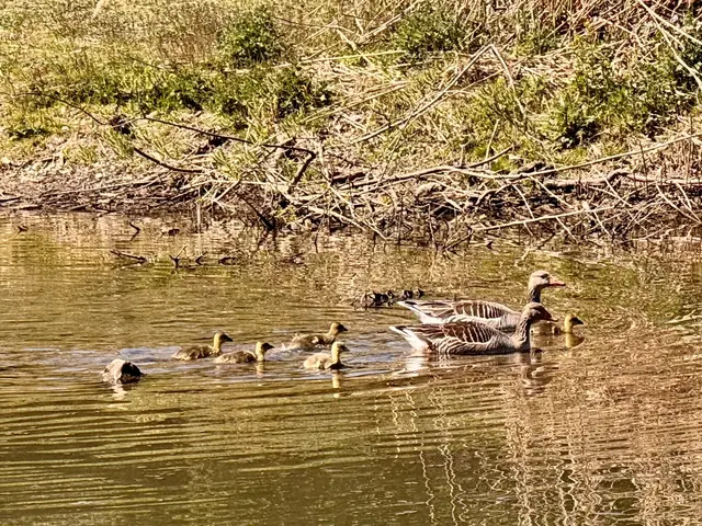 Foto: Heide Böllinger aus Bad Friedrichshall