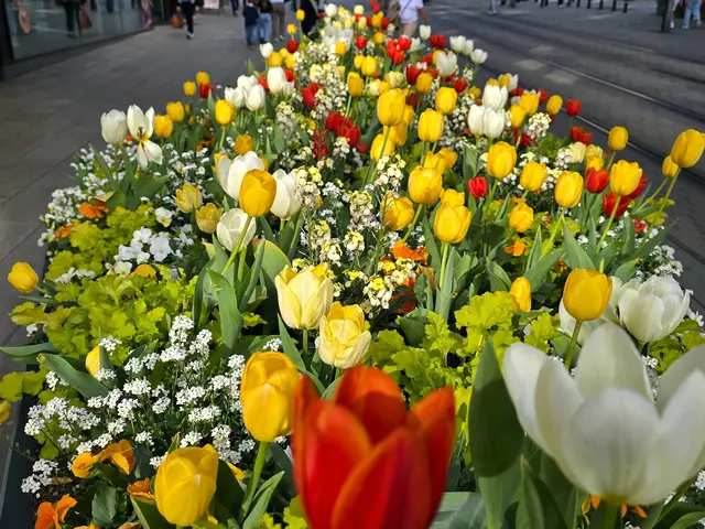 Foto: Heidrun Rosenberger