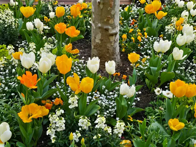 Foto: Heidrun Rosenberger