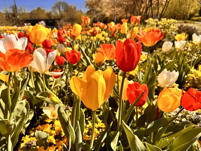 Foto: Heide Böllinger aus Bad Friedrichshall