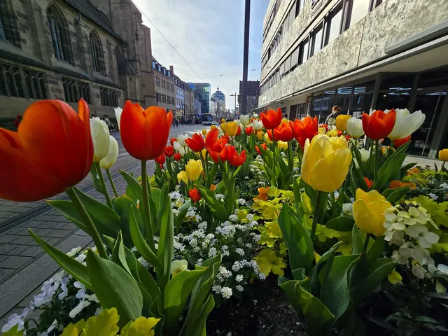 Foto: Heidrun Rosenberger