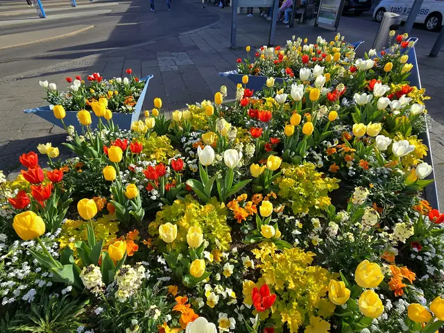 Foto: Heidrun Rosenberger