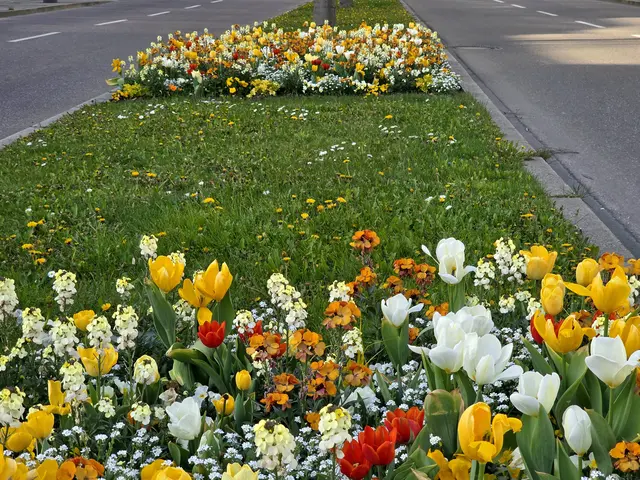 Foto: Heidrun Rosenberger