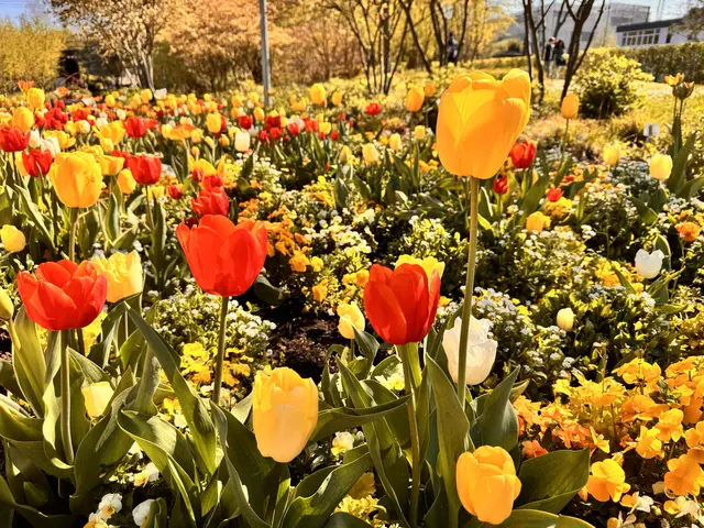 Foto: Heide Böllinger aus Bad Friedrichshall