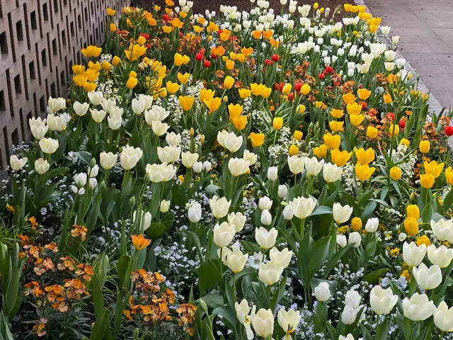 Foto: Heidrun Rosenberger