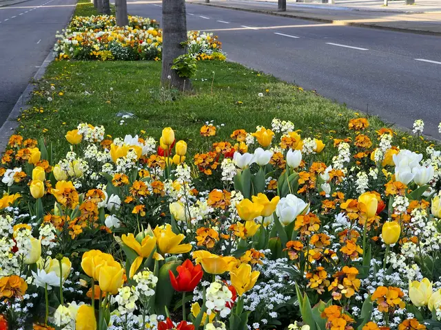 Foto: Heidrun Rosenberger