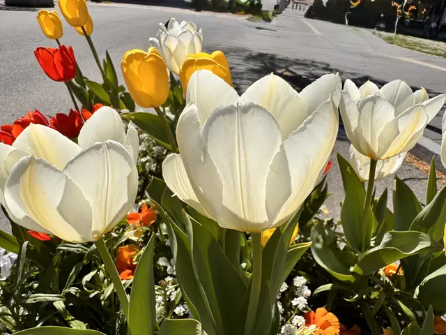 Foto: Heide Böllinger aus Bad Friedrichshall