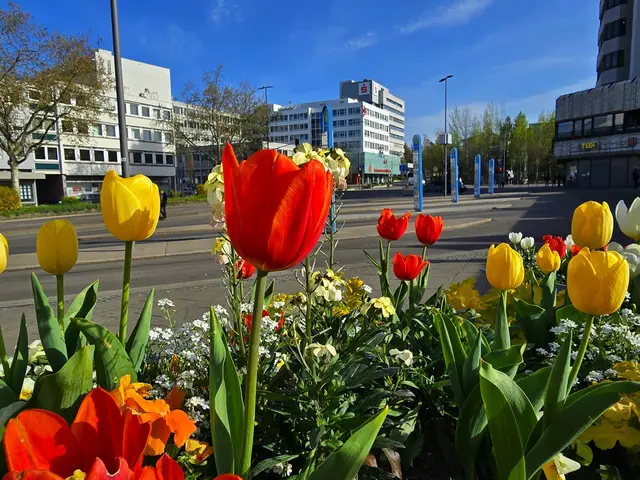 Foto: Heidrun Rosenberger