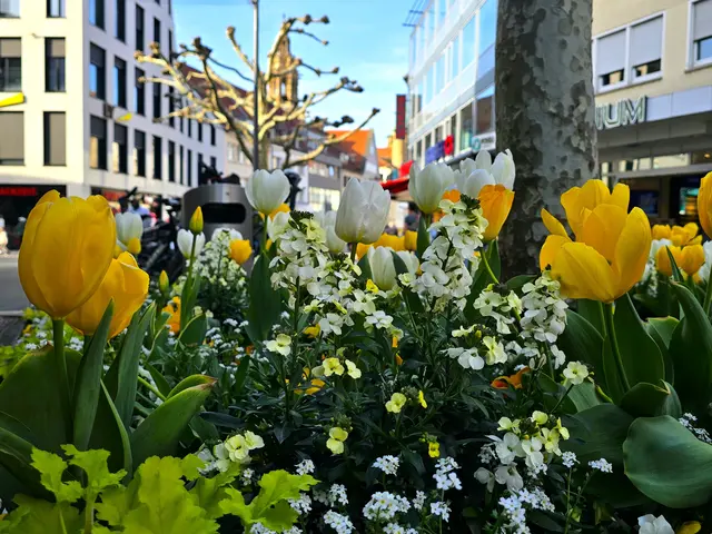 Foto: Heidrun Rosenberger