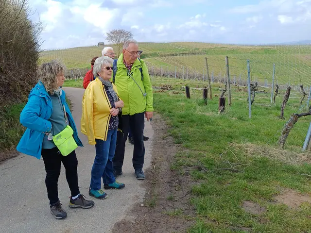 schon beim Aufstieg gab es einiges zu bestaunen | Foto: E. Rosendorf