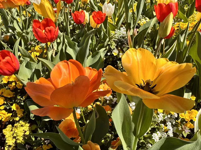 Foto: Heide Böllinger aus Bad Friedrichshall