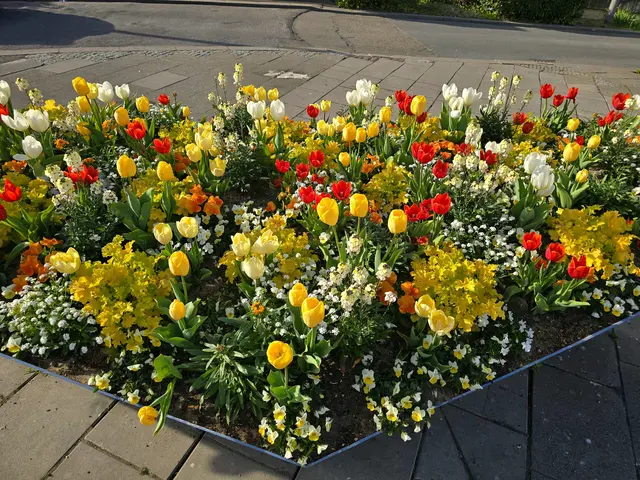 Foto: Heidrun Rosenberger