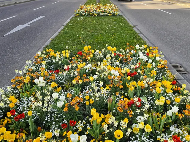 Foto: Heidrun Rosenberger