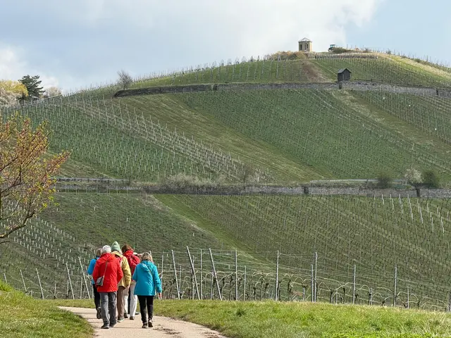 hier geht es hoch | Foto: E. Rosendorf