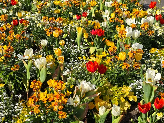 Foto: Heidrun Rosenberger