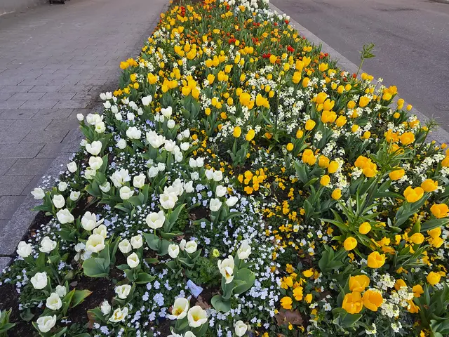 Foto: Heidrun Rosenberger